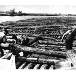 Сплав леса по Припяти, 1950-1960 г.г., река Припять в Петрикове, фото предоставил Петр Галота, (5retro)
